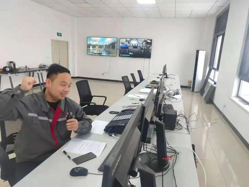 驕傲 丨中國中車首個風(fēng)電場一次送電成功 技術(shù)開發(fā)及技術(shù)服務(wù)